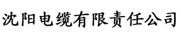 美女香蕉在线电缆厂logo